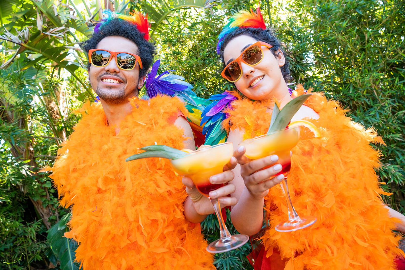 Tropical Opticals: The Drinks Origin Story